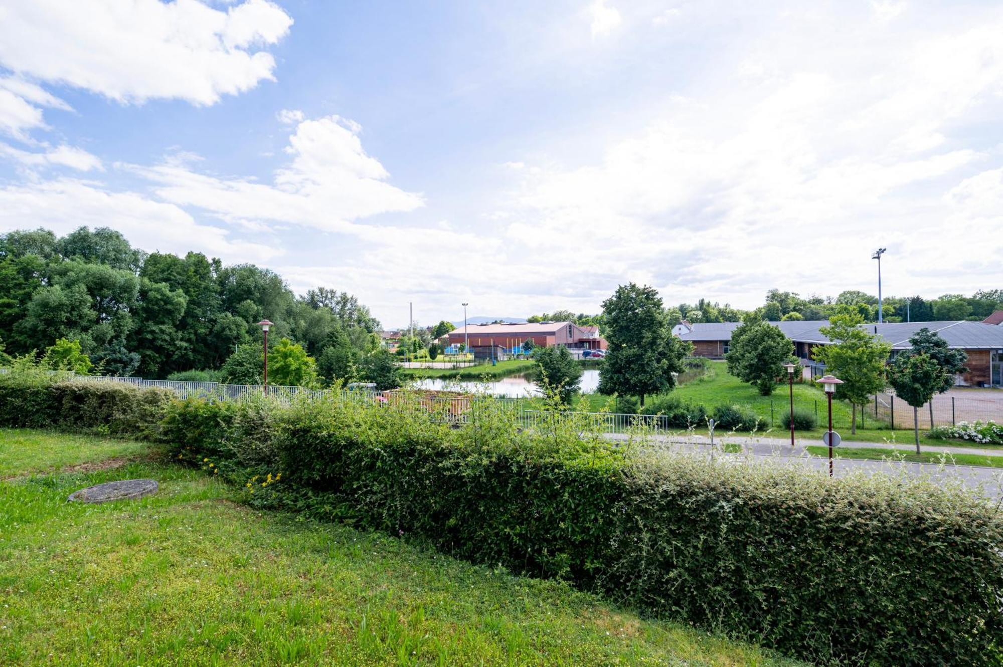Chez Virgil - Terrasse Vue Degagee, Parking Prive Apartment Ernolsheim-Bruche Exterior photo